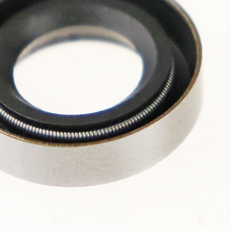 12x20x5mm SB / R4 Metal Cased Single Lip FKM Rubber Metric Rotary Shaft Oil Seal with Garter Spring