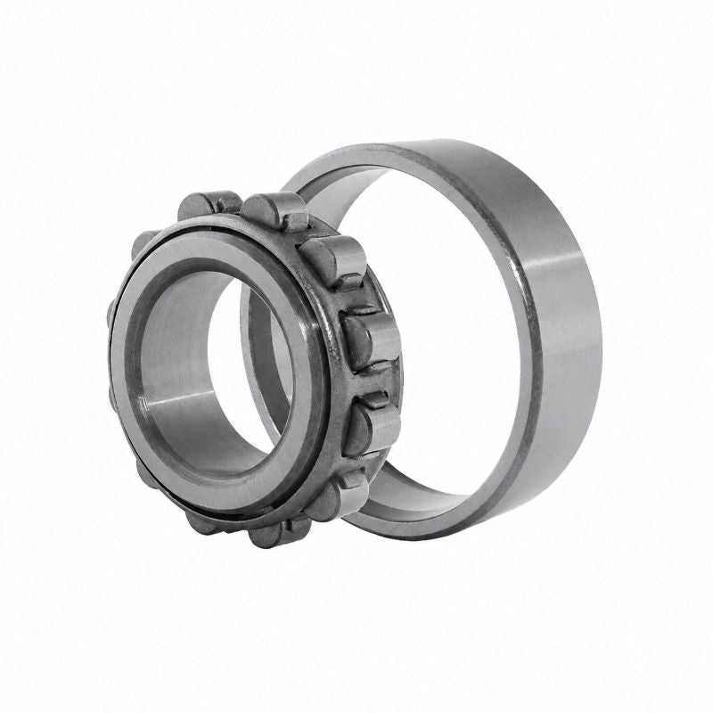 N320 Budget Single Row Cylindrical Roller Bearing 100x215x47mm
