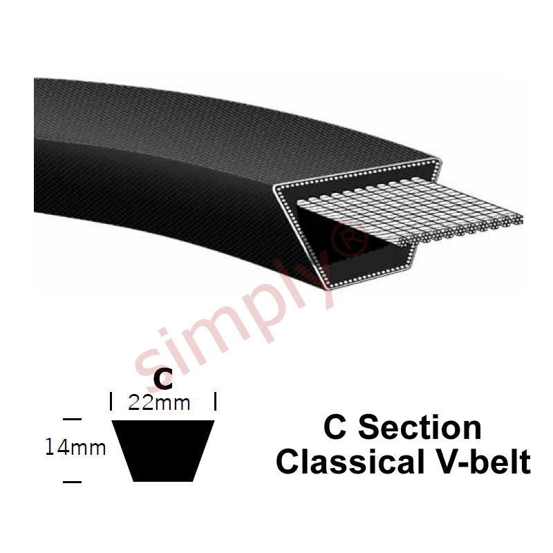 C56 Pix Classical C-Section Muscle V-Belt