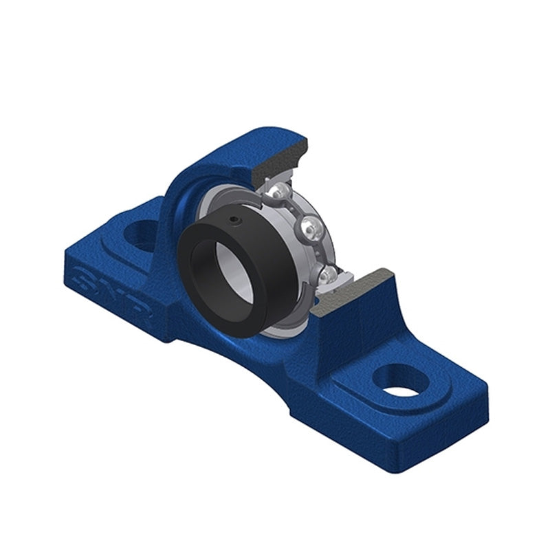 SNR ESP206-19 Imperial Cast Iron Two Bolt Pillow / Plummer Block Housing with 1-3/16 inch Eccentric Collar Insert - Allow 2-3 Days