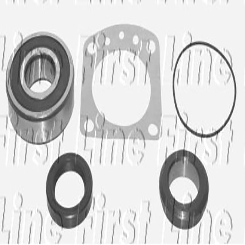 FBK307 Rear Wheel Bearing Kit