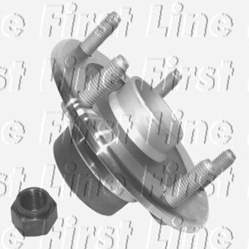 FBK863 Rear Wheel Bearing Kit