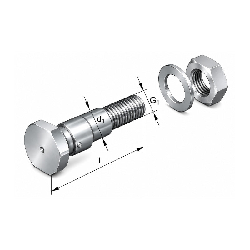 INA LFE25-82-A1-RB Pins - Allow 1-2 Days - Contact Us For Faster Delivery