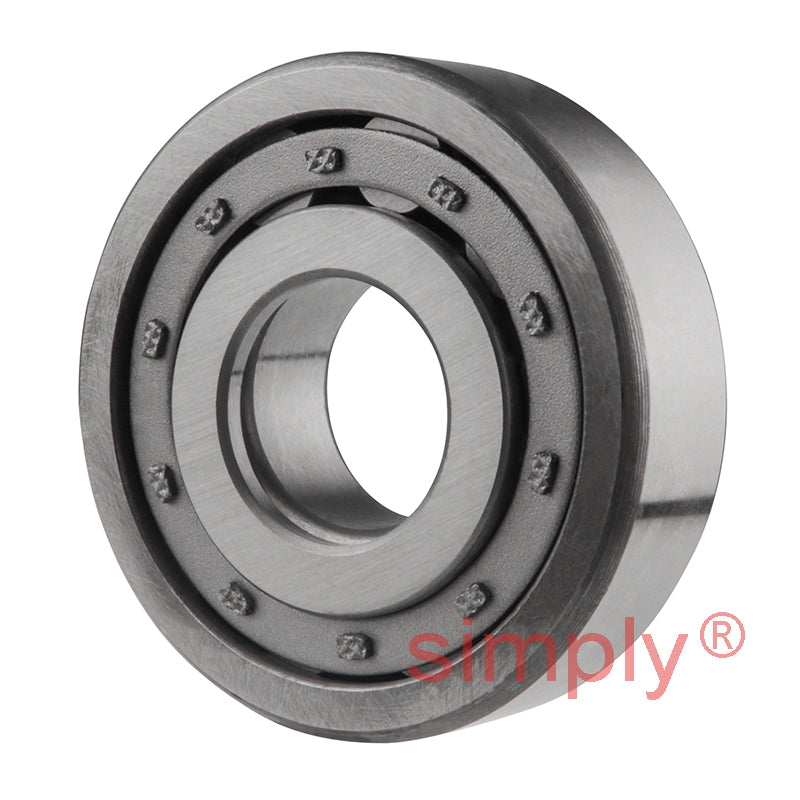 NUP304 Budget Single Row Cylindrical Roller Bearing 20x52x15mm